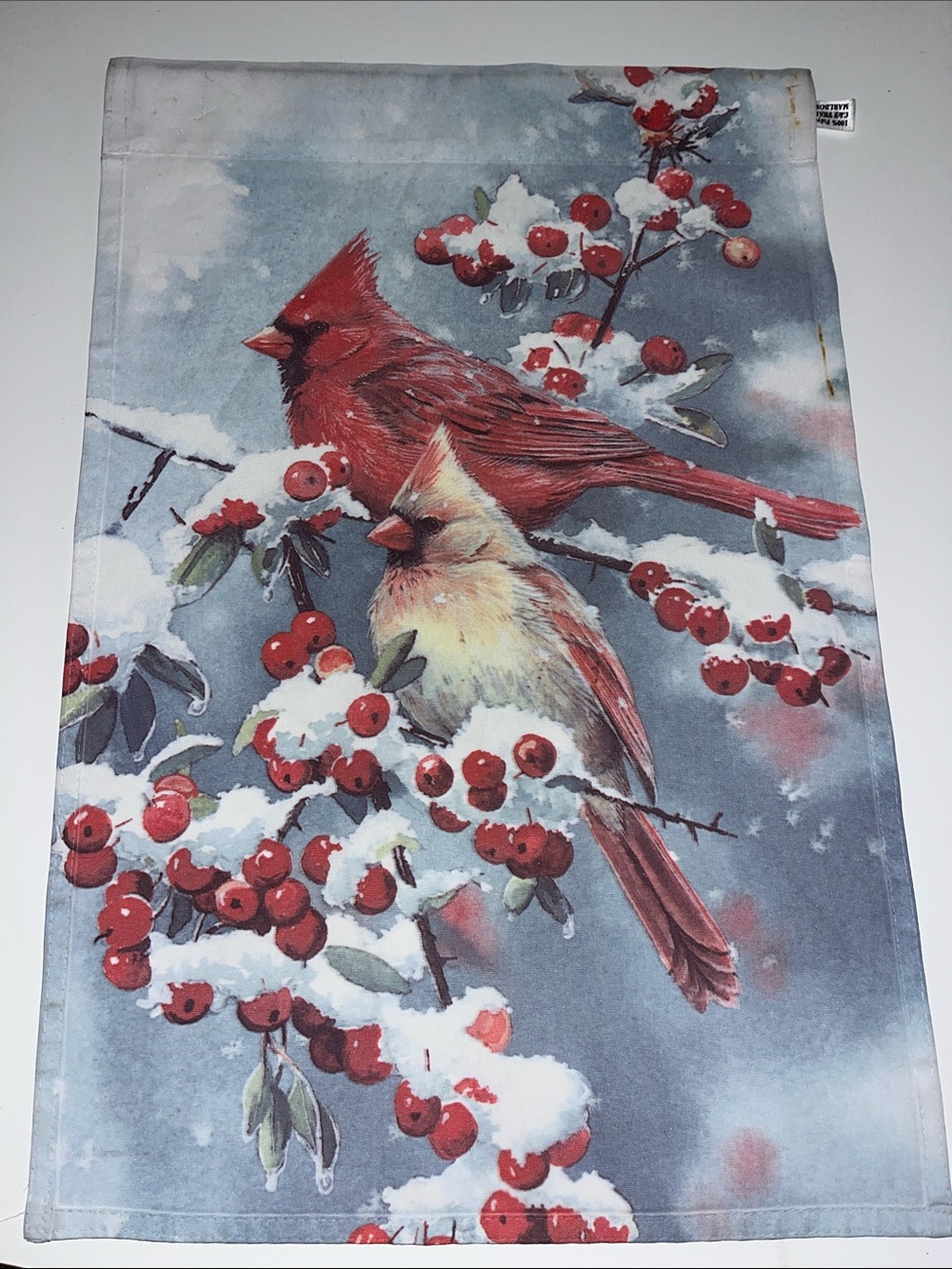 Winter Snow Berries Red Cardinal Bird Garden Flag North Carolina Trees bush
